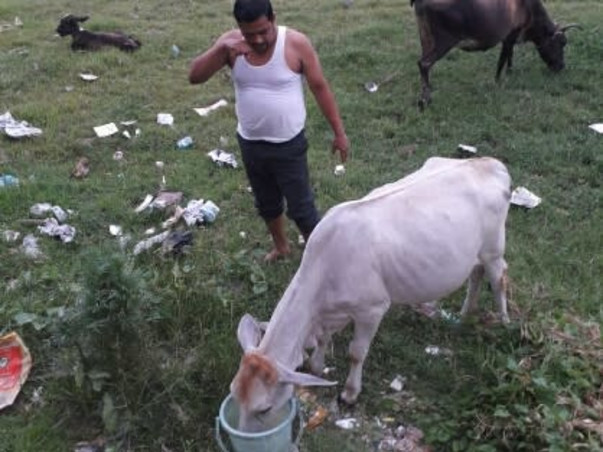 Help Poor And Needy People and animals