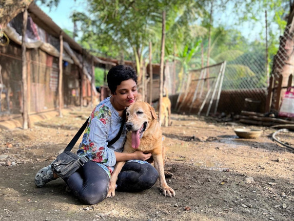 Donate to Animal Rehab/Shelter for Vet Bills