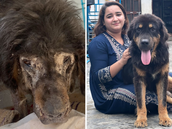 Support Us To Provide Better Facilities To Special Needs Animals