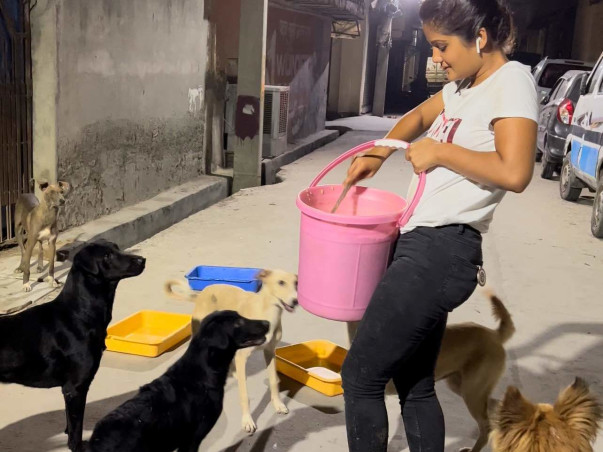 Help us to save more & more injured animals