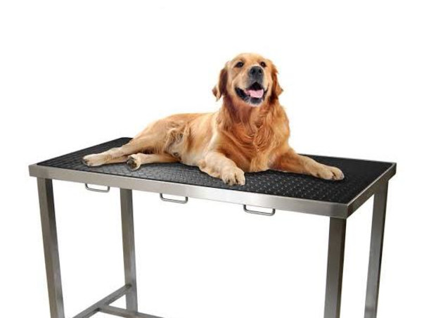 Help us to save more & more injured animals