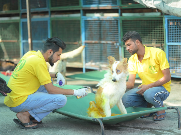 Support Us To Provide Better Facilities To Special Needs Animals