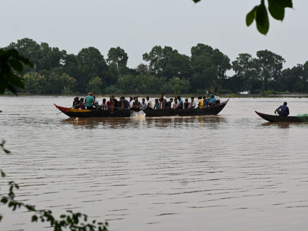 Help Flood affected Animals with Medical Aid and Feed