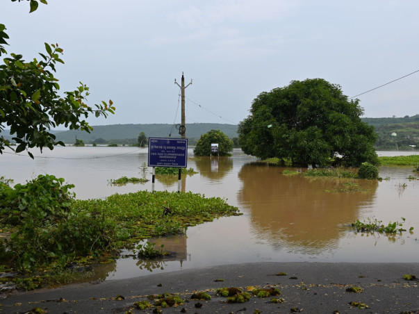Help Flood affected Animals with Medical Aid and Feed