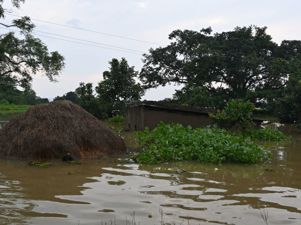 Help Flood affected Animals with Medical Aid and Feed