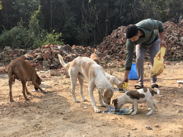 HELP FETCHING FRIENDS TO FEED & RESCUE MORE STRAYS