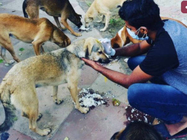 HELP FETCHING FRIENDS TO FEED & RESCUE MORE STRAYS