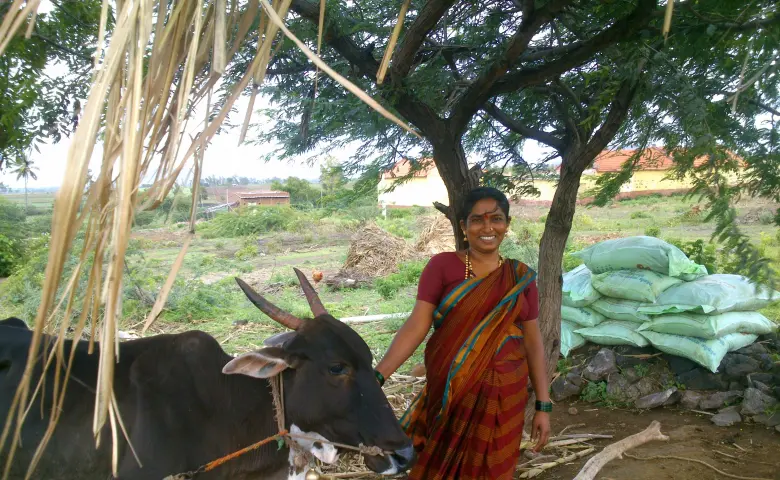 Shantavva with her new cow