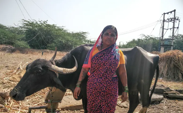 Gouravva with her buffalo