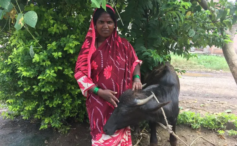 Sanvakka at home