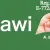 Palawi