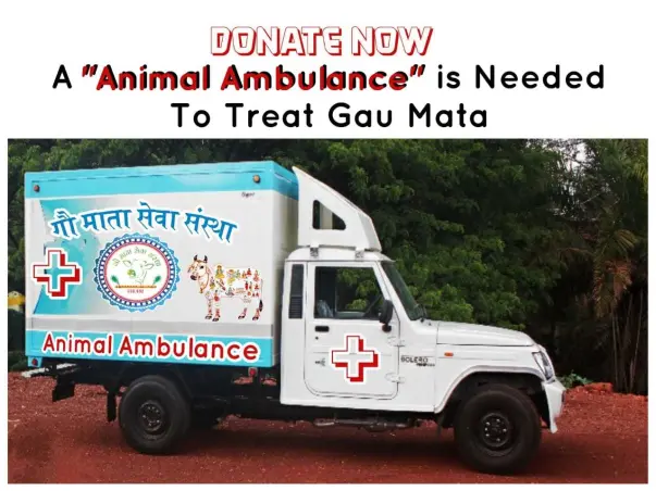 Help for animal Ambulance