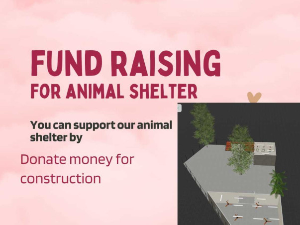 Help Us Build The First Ever ANIMAL RESCUE CENTRE In Tripura