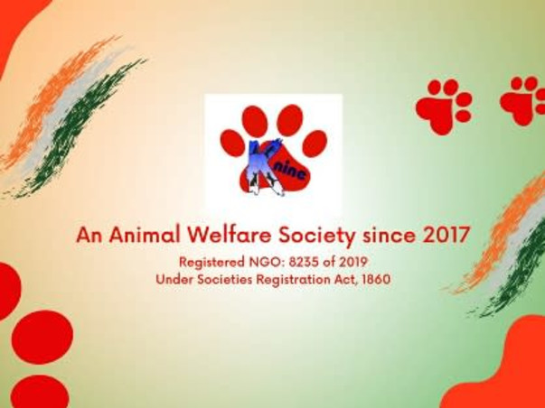 Help Us Build The First Ever ANIMAL RESCUE CENTRE In Tripura