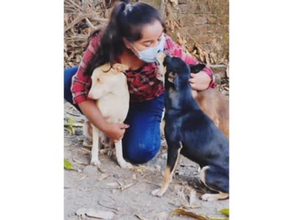 Appeal for 300 +Stray dogs at Vichumbe Panvel