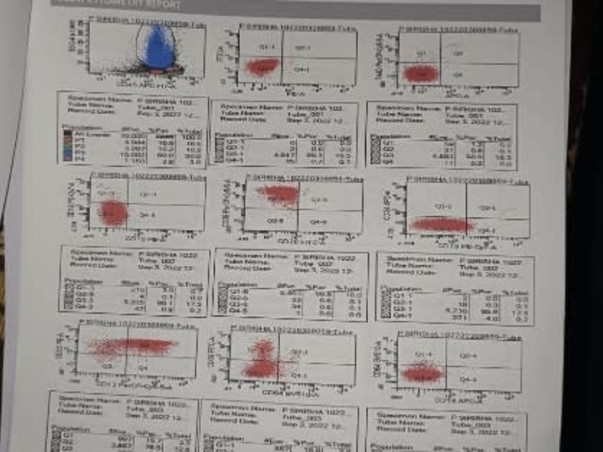 Support Pondhara Sireesha To Recover From Blood Cancer