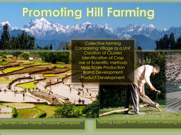 Geraad Golu Devta Farmer producer Company
