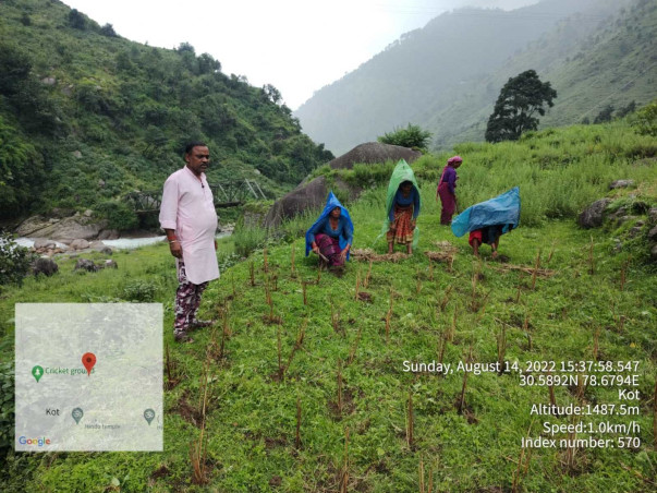 Geraad Golu Devta Farmer producer Company