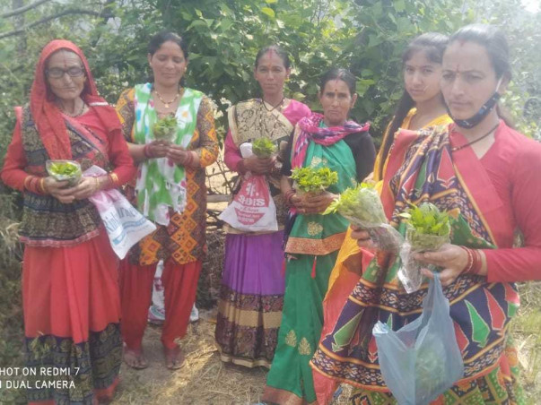 Geraad Golu Devta Farmer producer Company