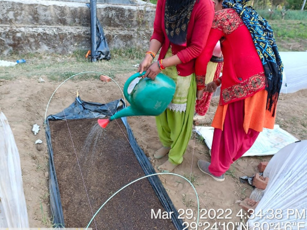 Geraad Golu Devta Farmer producer Company