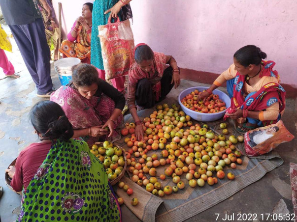 Geraad Golu Devta Farmer producer Company