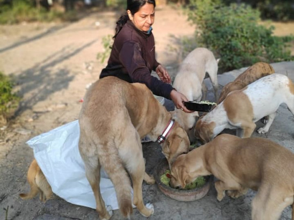 Ek Asha Choti Si - Help Orpita Continue her Animal Welfare Efforts