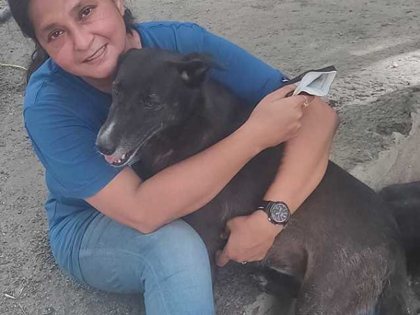 Ek Asha Choti Si - Help Orpita Continue her Animal Welfare Efforts
