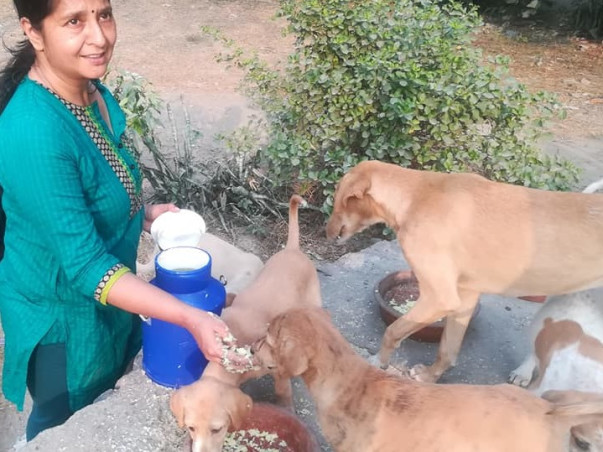 Ek Asha Choti Si - Help Orpita Continue her Animal Welfare Efforts