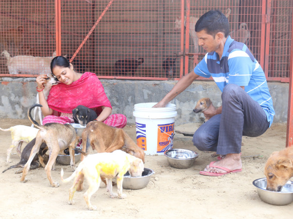 Help Barkha To Save Paralyzed. Blind , Sick, Injured Animals