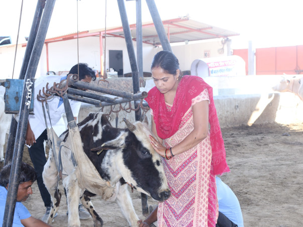 Help Barkha To Save Paralyzed. Blind , Sick, Injured Animals