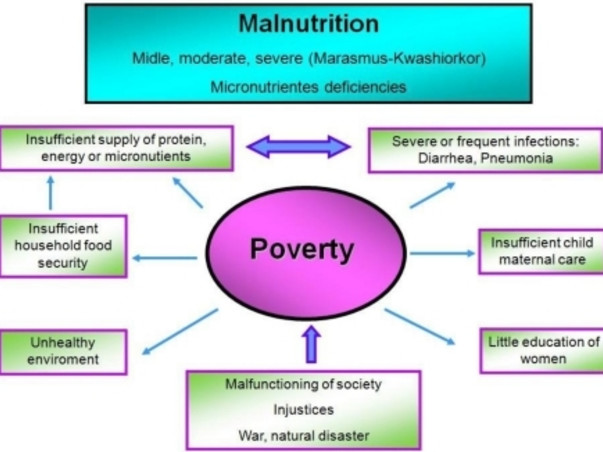 Let's Eradicate Malnutrition Together and bless our cursed world