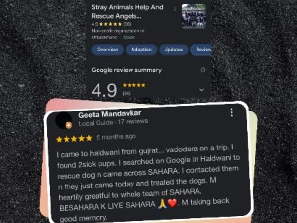 Need Support To Build water and septic tank for animal shelter