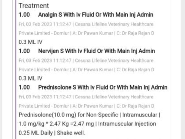 Help For My Cat Chotu Suffering From Feline infectious peritonitis