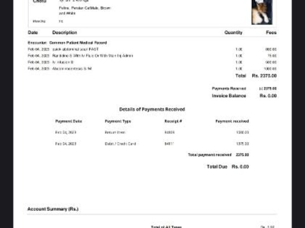 Help For My Cat Chotu Suffering From Feline infectious peritonitis