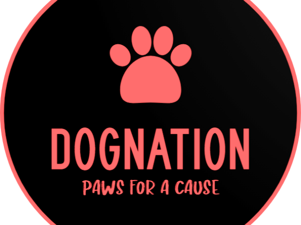 Support Dognation- Animal Shelter, Food and Clothing Supply