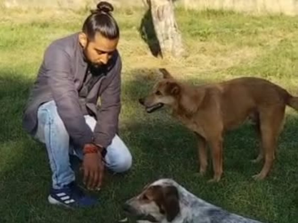 Please Help Repair Our Dog Shelter