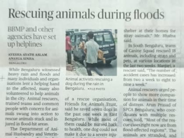 Donate to provide shelter to injured animals