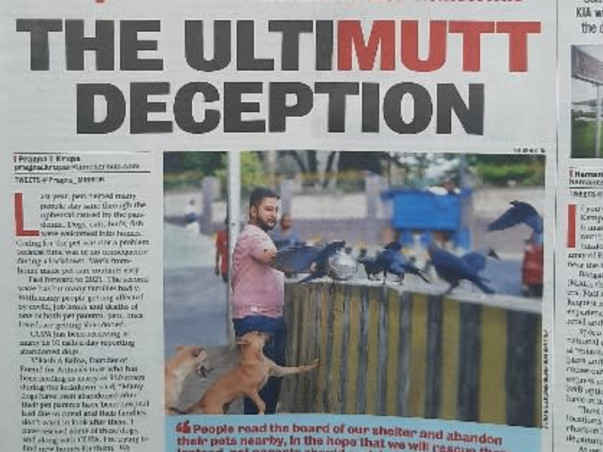 Donate to provide shelter to injured animals