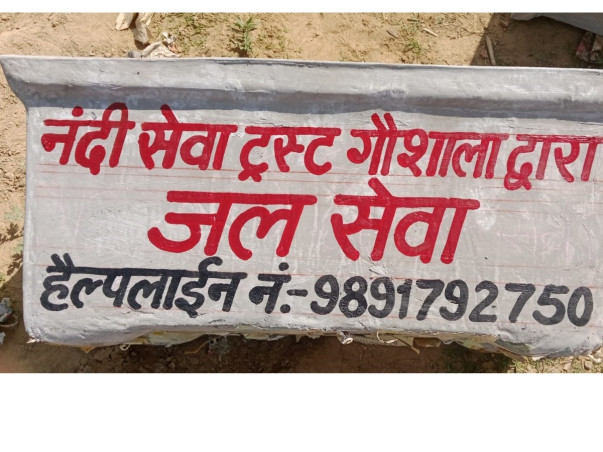 Jeev Karuna-Water Pot Project for Stray Animals