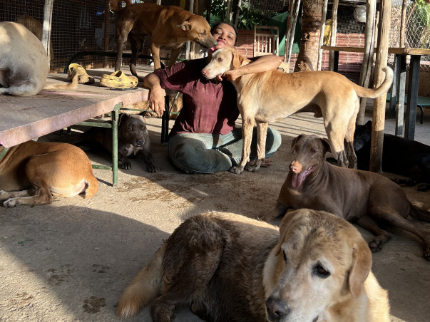 Save Rescued Shelter Animals from going HOMELESS!