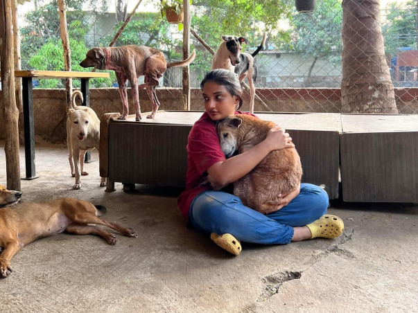Save Rescued Shelter Animals from going HOMELESS!