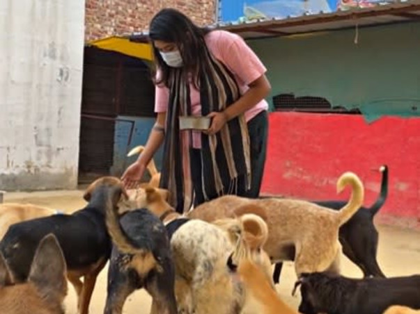 Help Our Shelter Animals in Medical Treatment