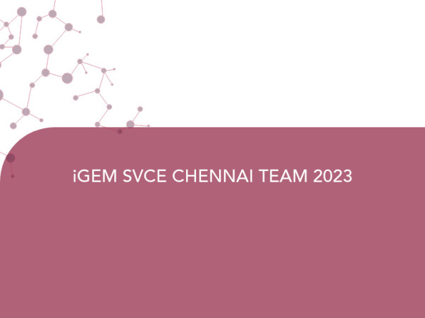 iGEM SVCE CHENNAI TEAM 2023