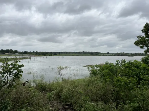 Save Kapra Lake, Secunderabad, Telangana India