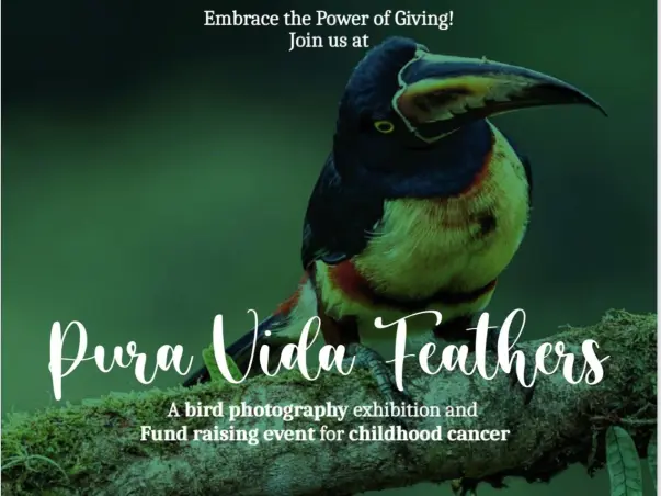 Your small contribution can help them fight cancer.
