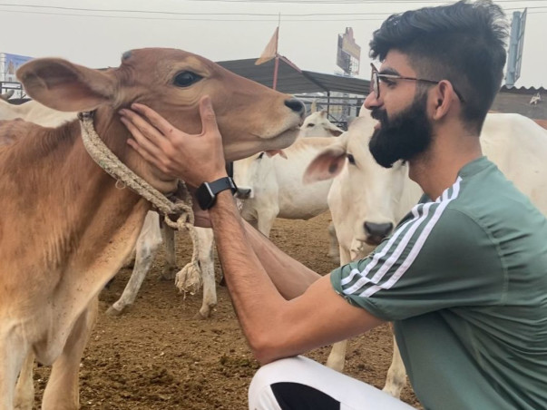 Help us build an Animal Shelter for stray & rescued Cows and Dogs
