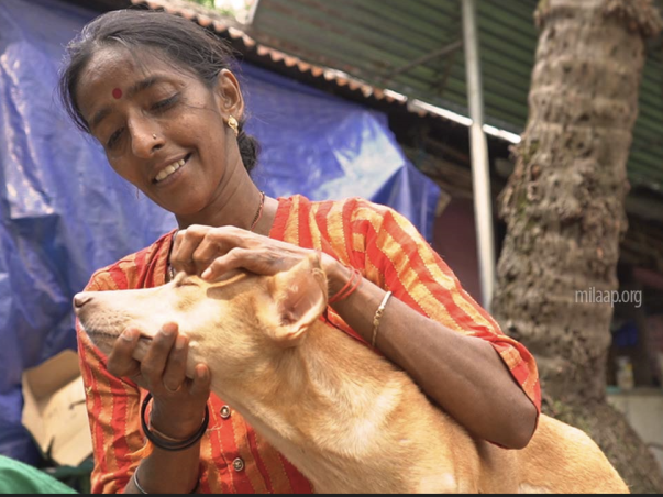 Support Rajani Shetty, Mangalore's Stray Saviour