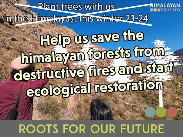 Roots for our future