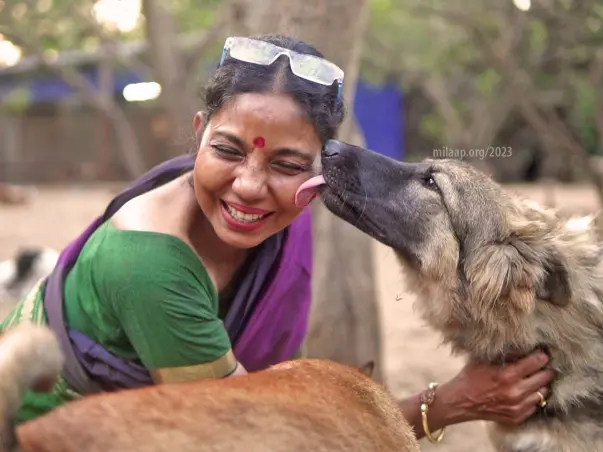 Help Sarah feed and treat disabled and blind dogs