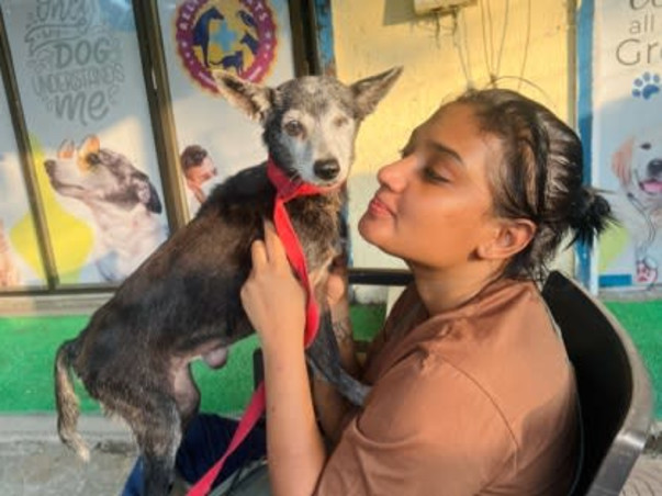 Help Aditi to rescue & shelter hundreds of street animals!